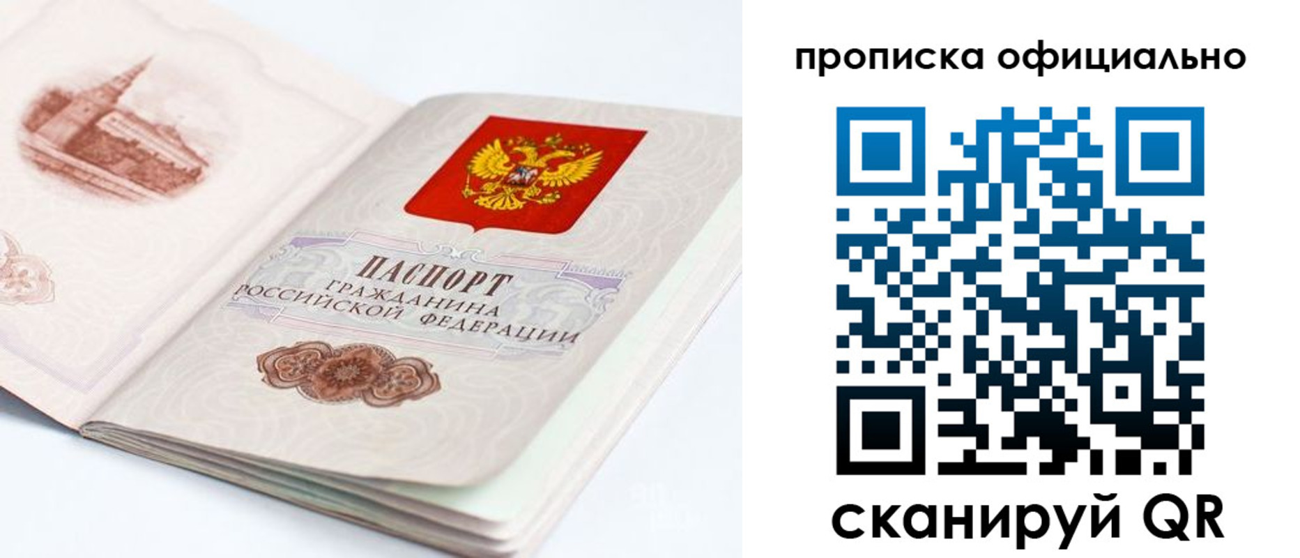временная регистрация надежно в Амурской области